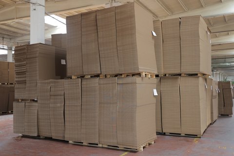 Koru Pak 7